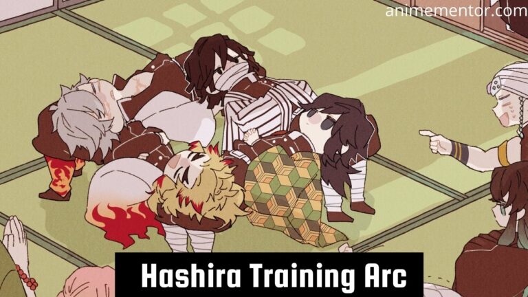Arc d'entraînement Hashira
