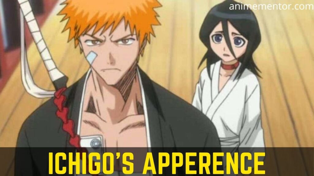 Ichigo's Apperence