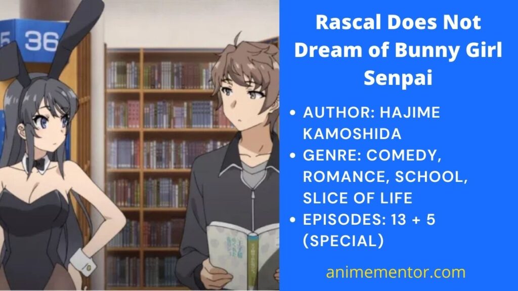 Rascal Does Not Dream of Bunny Girl Senpai