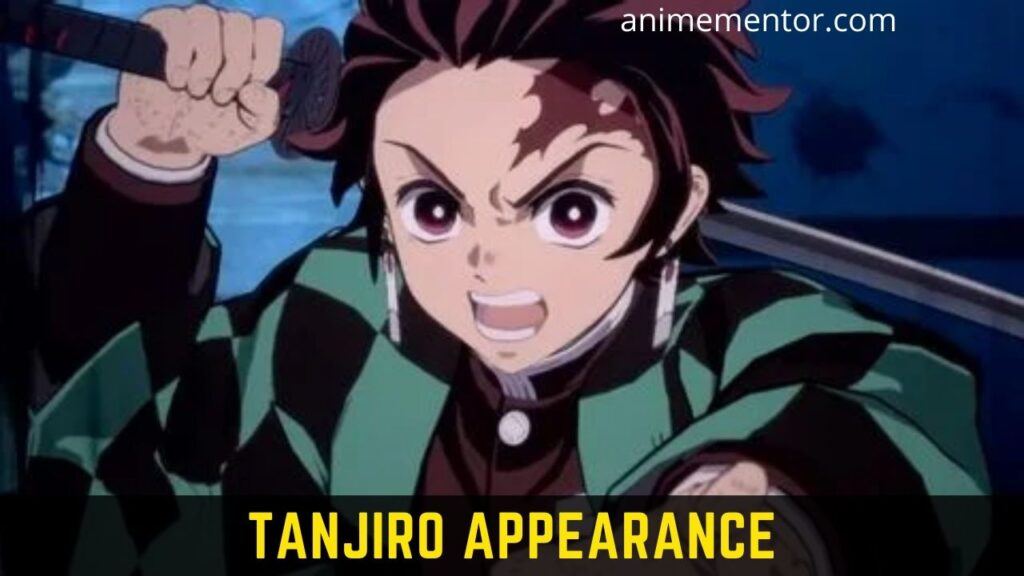 Tanjiro Kamado, Wiki