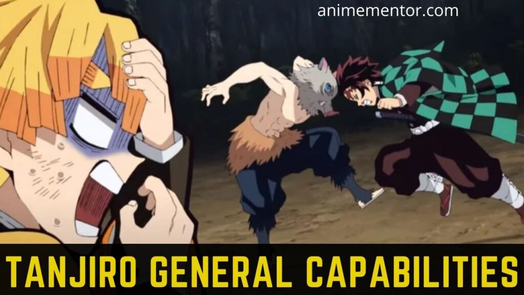 Tanjiro General Capabilities