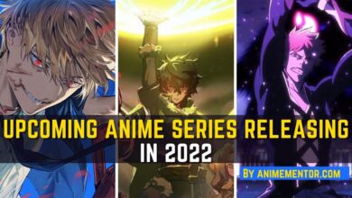 Upcoming Anime Series