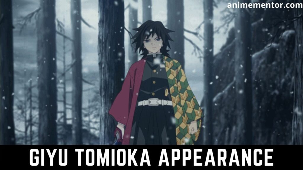 Giyu Tomioka Appearance