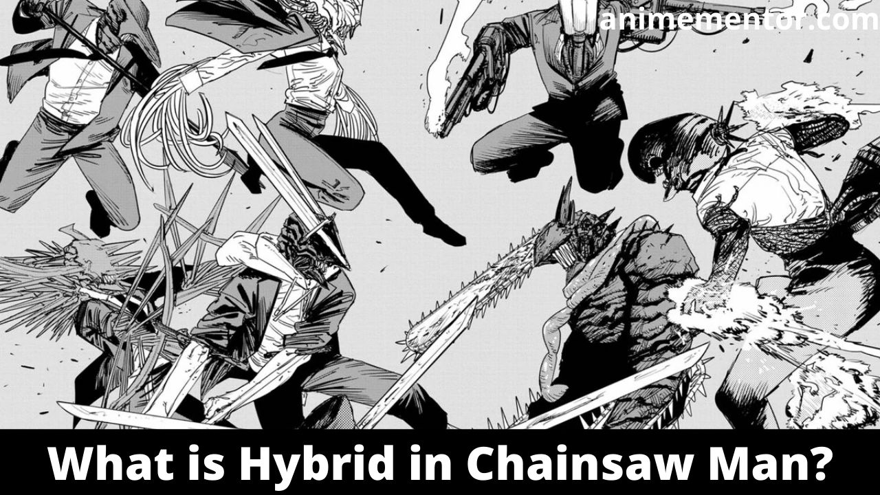 Hybrid in Chainsaw Man