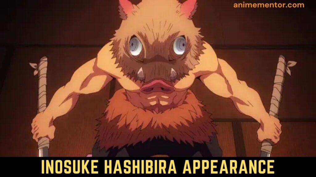 Inosuke Hashibira Appearance