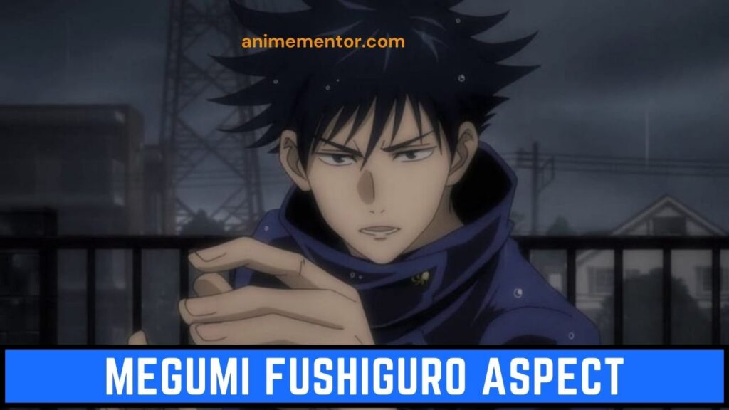 Aspect Megumi Fushiguro