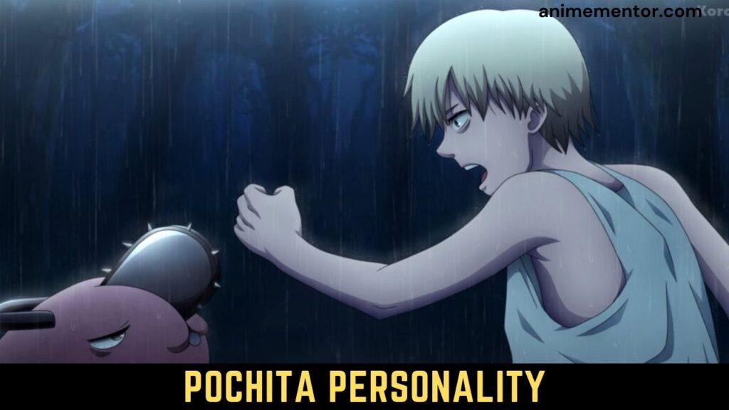 Pochita Personality