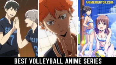 Best Volleyball Anime Series