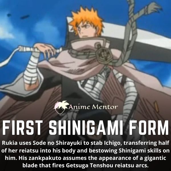 First Shinigami Form