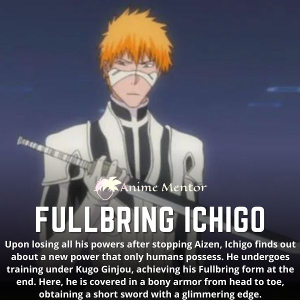 Fullbring Ichigo