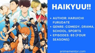 Haikyuu Wiki, Plot, Cast, Review And More