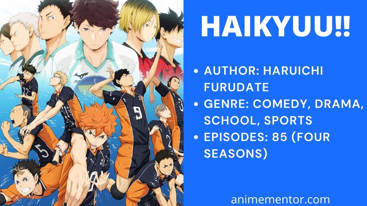 Haikyū!! Season 1, Haikyū!! Wiki