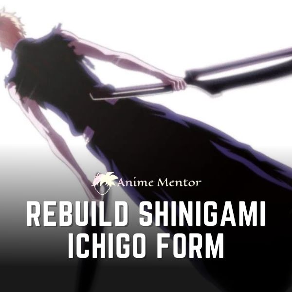 Rebuild Shinigami Ichigo Form