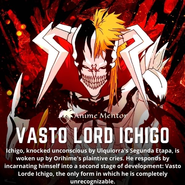 Vasto Lord Ichigo