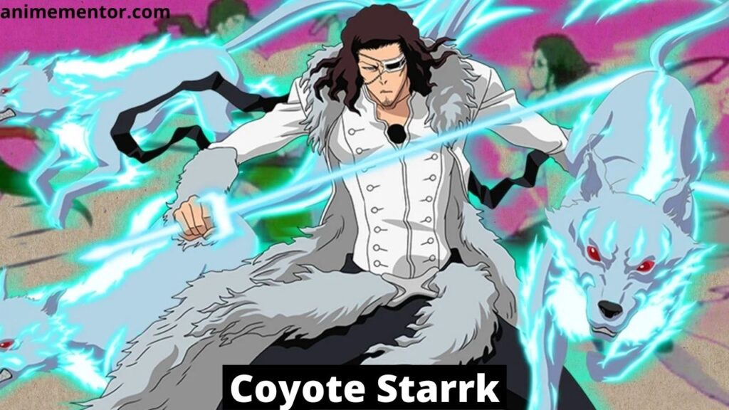 Coyote Stark