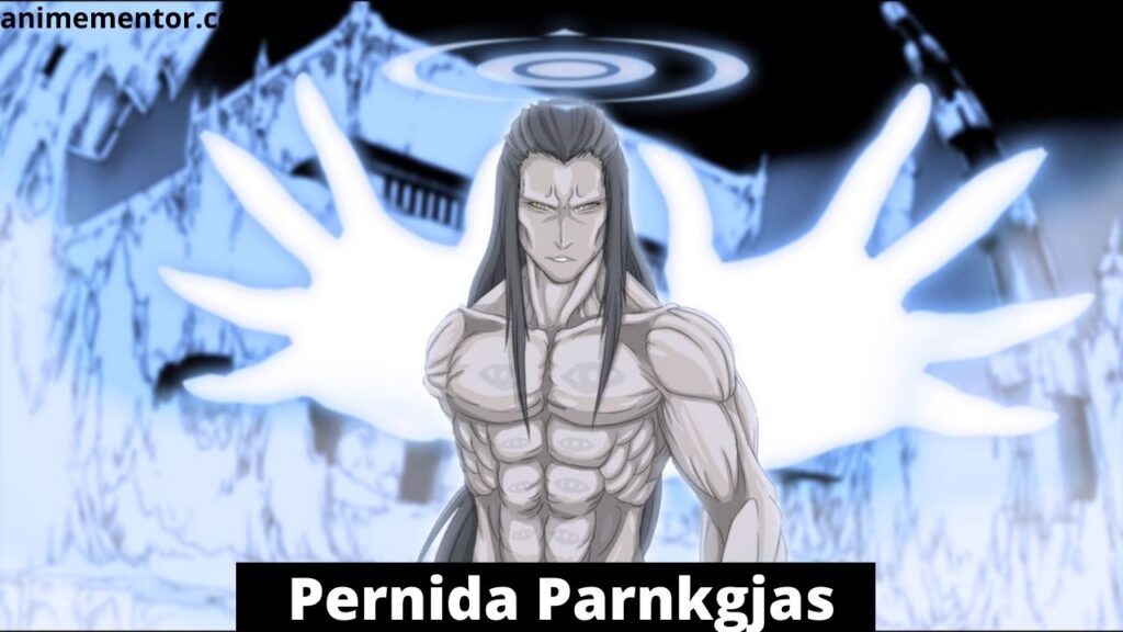 Pernida Parnkgjas