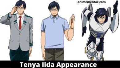 Tenya Iida Wiki, Appearance, Abilities, Hero Name, And More