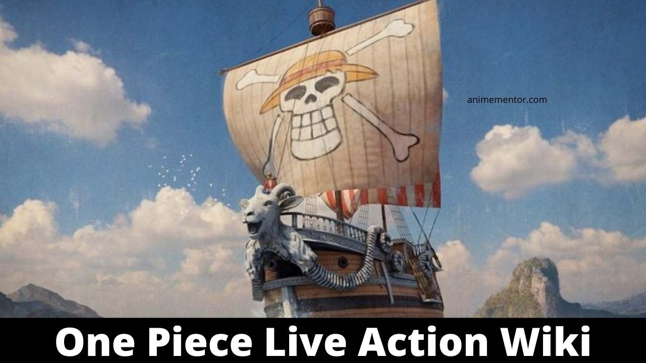 One Piece Live-Action Poster Reveals Detailed Going Merry Ship Design - IMDb