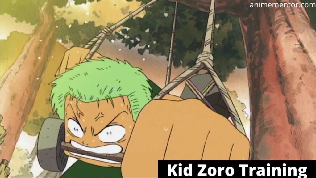 Kid Zoro Training