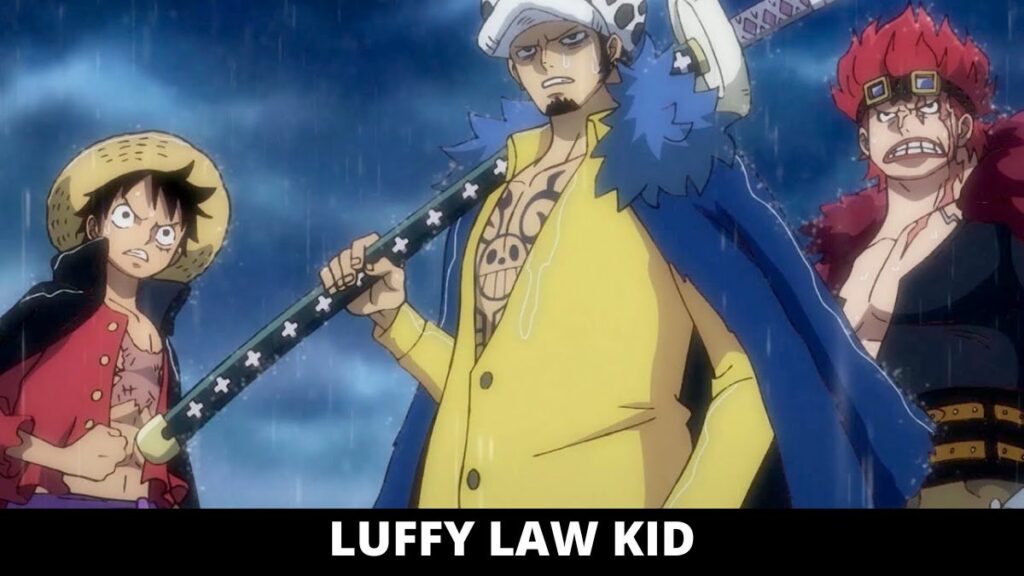 LUFFY LAW KID