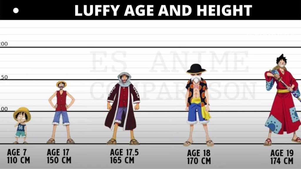 Âge et taille de Luffy