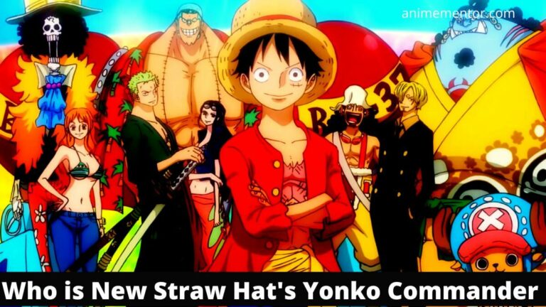Yonko-Kommandant von Straw Hat
