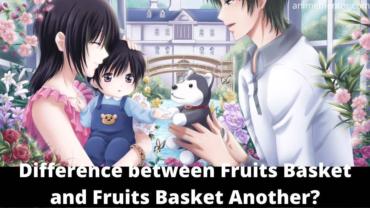 What’s the difference between Fruits Basket and Fruits Basket…