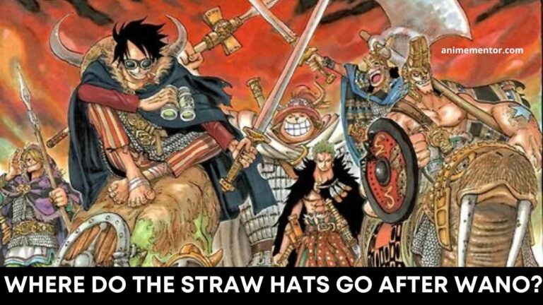 Where do the Straw Hats go after Egghead?