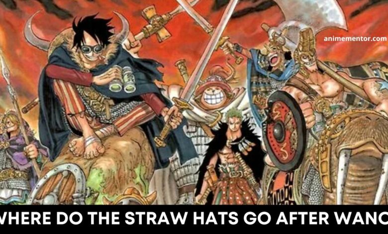 Where do the Straw Hats go after Wano?