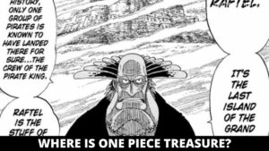 What Is The One Piece Treasure?