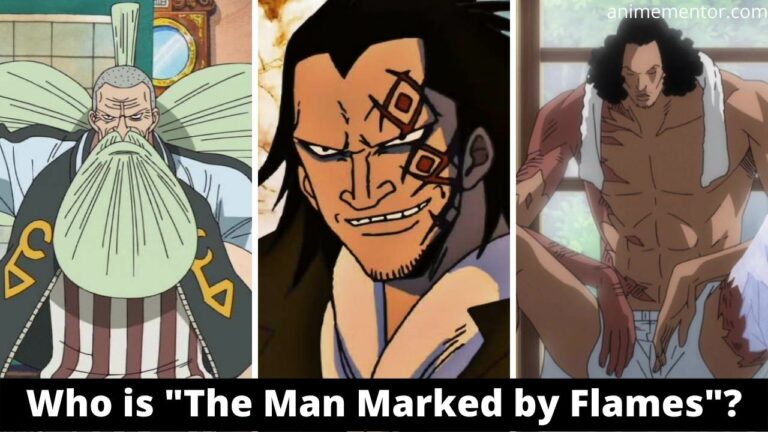 Who Is The Man Marked By Flames The Man With The Burn Scar One Piece