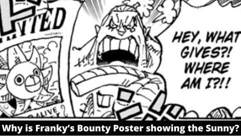 Why is Franky’s Bounty Poster showing the Sunny?
