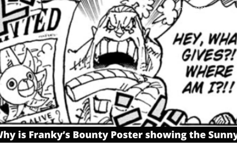 Why is Franky’s Bounty Poster showing the Sunny (1)