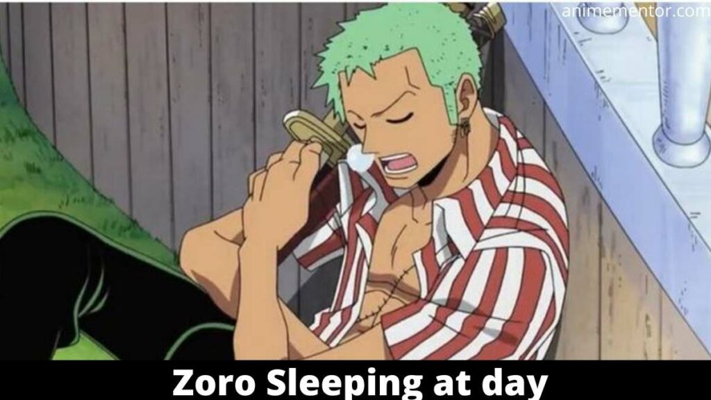 Zoro schläft tagsüber