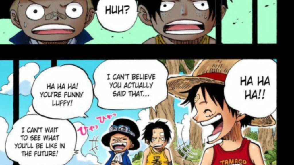 Ace and sabo after hearing Luffy's Actual Dream