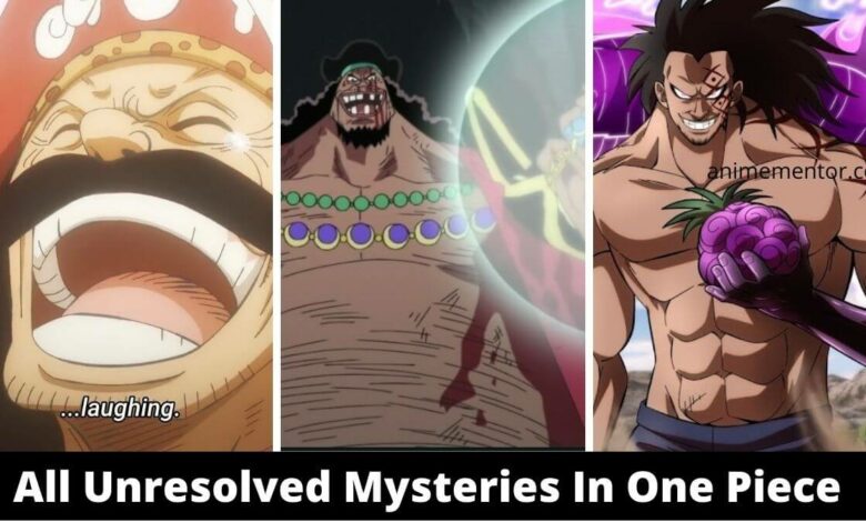All Unresolved Mysteries In One Piece (1)