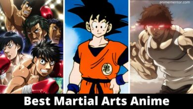 Best Martial Arts Anime Of All Time (1)