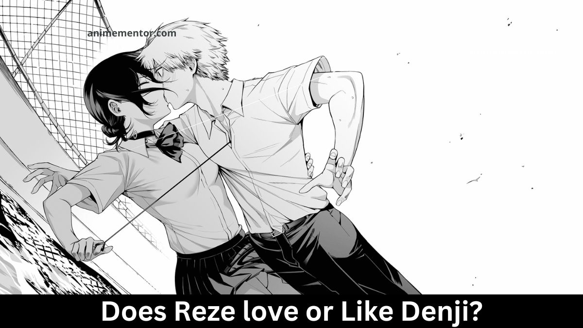 Does Reze love or Like Denji?