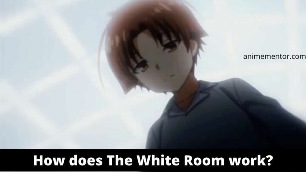 What is the White Room in the Classroom of the Elite?