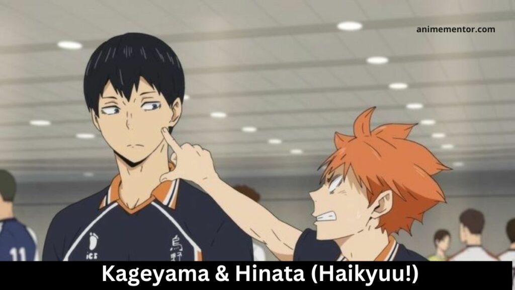 Kageyama & Hinata (Haikyuu!)