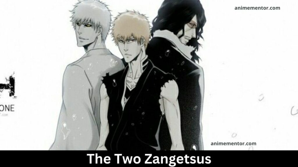 The Two Zangetsus