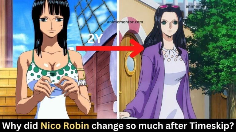 Why did Nico Robin change so much after the Timeskip?