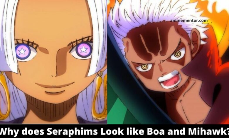 Why does New Pacifista Seraphim Look like Boa and Mihawk with Lunarians Power? 1 Why does Seraphims Look like Boa and Mihawk