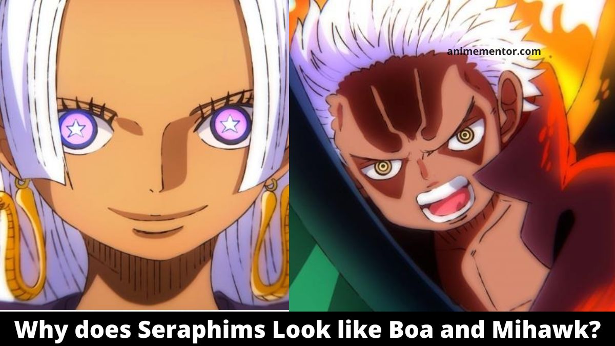 Why does New Pacifista Seraphim Look like Boa and Mihawk with Lunarians Power?