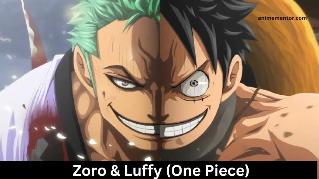  Zoro & Luffy (ワンピース)