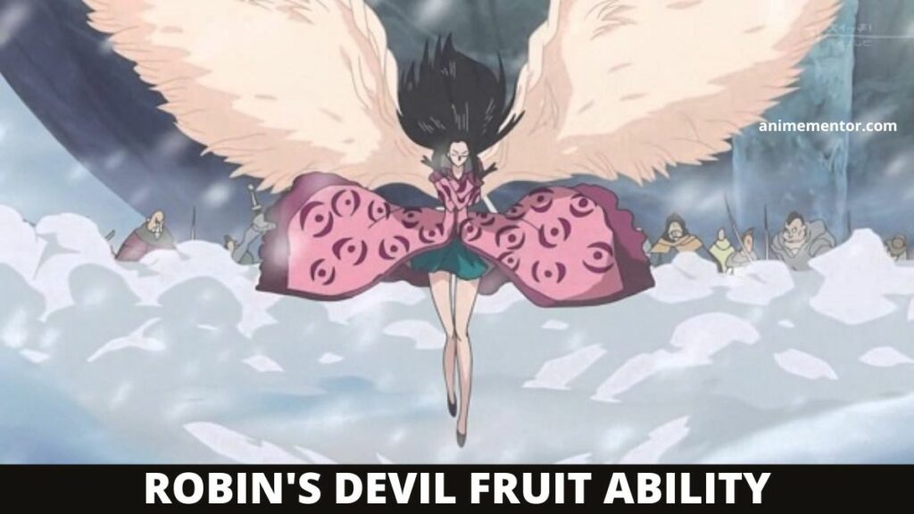 La habilidad de la fruta del diablo de Robin