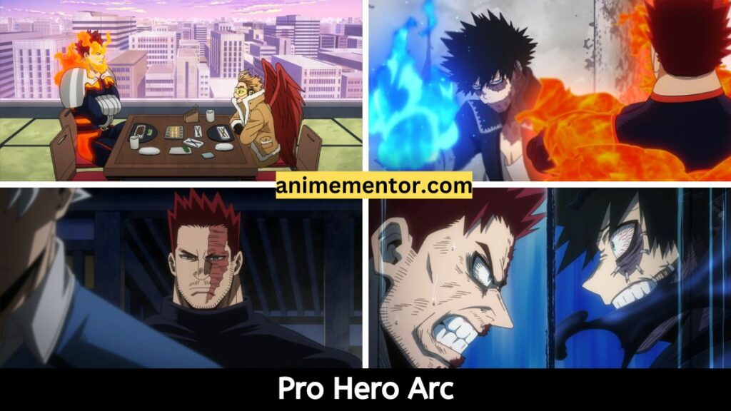 Pro Hero Arc