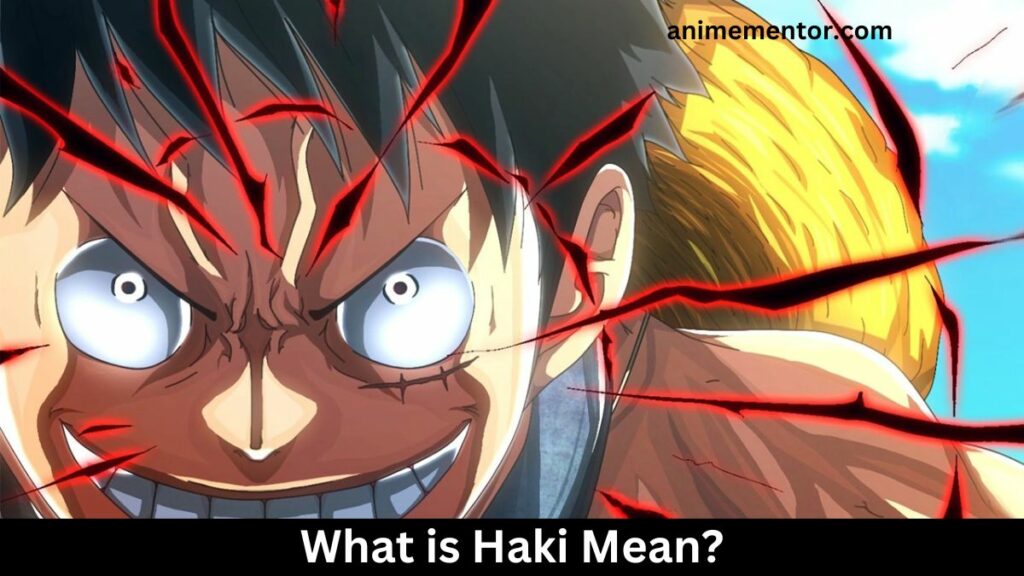 What is Haki Mean?