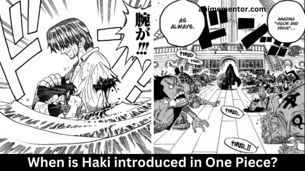 When is Haki introduced in One Piece?