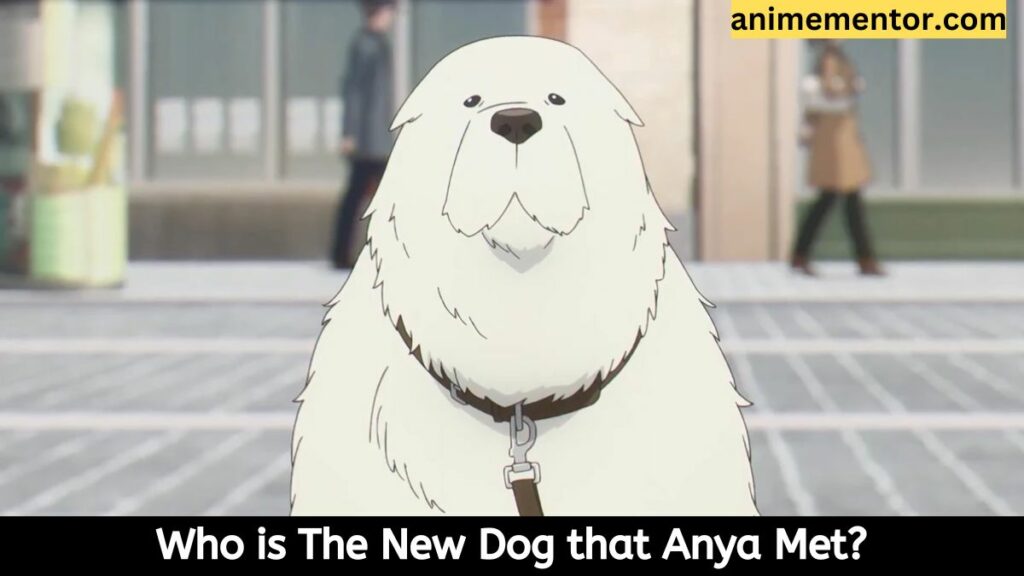 Wer ist der neue Hund, den Anya kennengelernt hat?